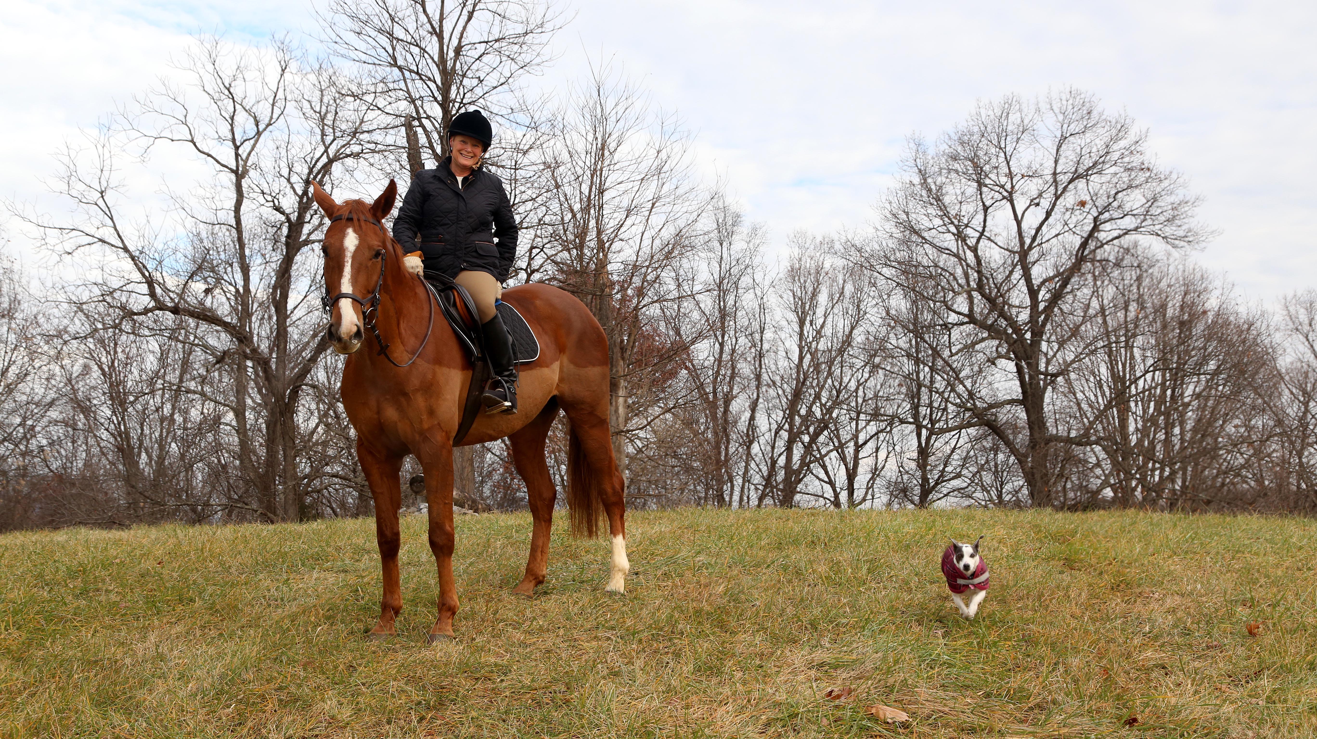Lee on Horseback